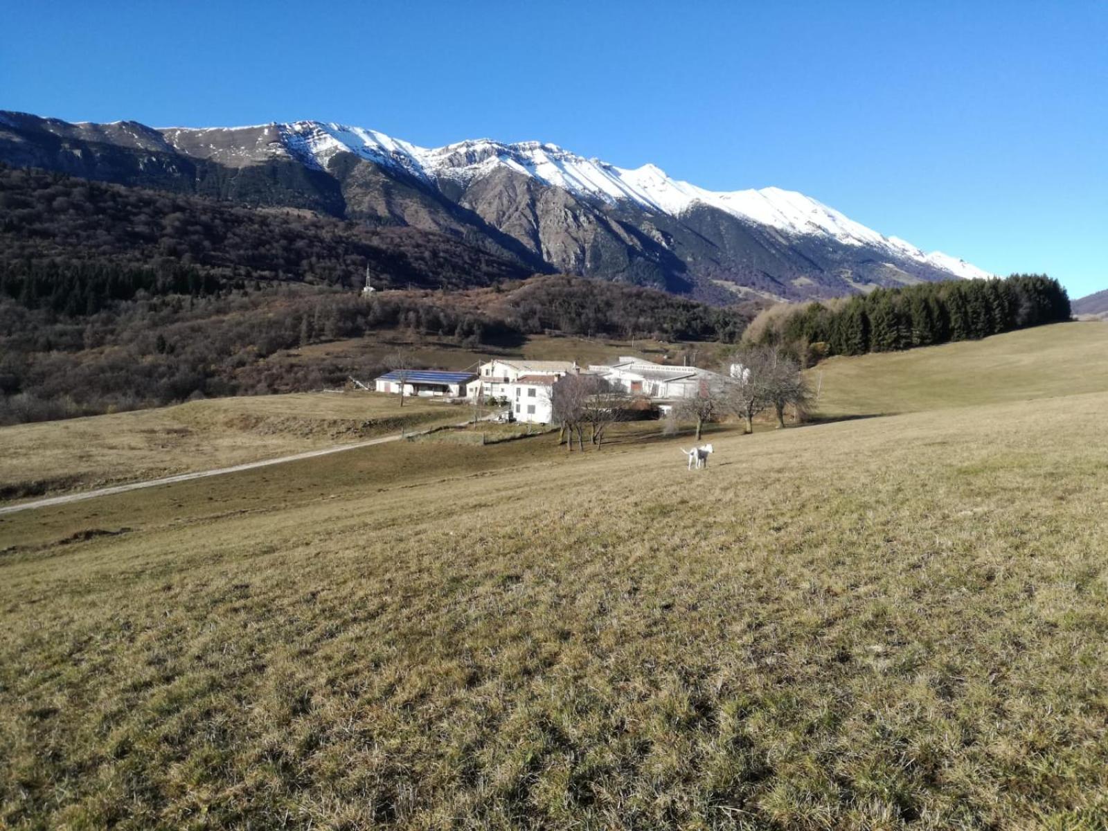 Agriturismo Preele Villa Ferrara di Monte Baldo Exterior photo
